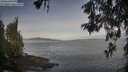 ./images/koeye/fitz-hugh/20260527/fitz-hugh20260527_065502M.jpg