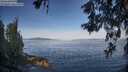 ./images/koeye/fitz-hugh/20260527/fitz-hugh20260527_080501M.jpg