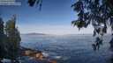 ./images/koeye/fitz-hugh/20260527/fitz-hugh20260527_081501M.jpg