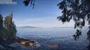 ./images/koeye/fitz-hugh/20260527/fitz-hugh20260527_082502M.jpg