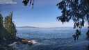 ./images/koeye/fitz-hugh/20260527/fitz-hugh20260527_094501M.jpg