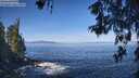 ./images/koeye/fitz-hugh/20260527/fitz-hugh20260527_095501M.jpg