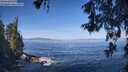./images/koeye/fitz-hugh/20260527/fitz-hugh20260527_100501M.jpg