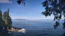./images/koeye/fitz-hugh/20260527/fitz-hugh20260527_102501M.jpg