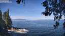 ./images/koeye/fitz-hugh/20260527/fitz-hugh20260527_103001M.jpg