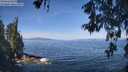 ./images/koeye/fitz-hugh/20260527/fitz-hugh20260527_103501M.jpg