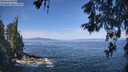 ./images/koeye/fitz-hugh/20260527/fitz-hugh20260527_104001M.jpg
