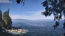 ./images/koeye/fitz-hugh/20260527/fitz-hugh20260527_105001M.jpg