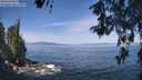 ./images/koeye/fitz-hugh/20260527/fitz-hugh20260527_105501M.jpg