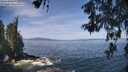 ./images/koeye/fitz-hugh/20260527/fitz-hugh20260527_111501M.jpg