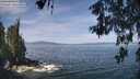 ./images/koeye/fitz-hugh/20260527/fitz-hugh20260527_112001M.jpg