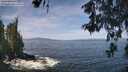 ./images/koeye/fitz-hugh/20260527/fitz-hugh20260527_112501M.jpg