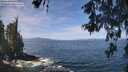 ./images/koeye/fitz-hugh/20260527/fitz-hugh20260527_113501M.jpg