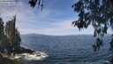 ./images/koeye/fitz-hugh/20260527/fitz-hugh20260527_114001M.jpg
