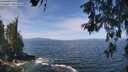 ./images/koeye/fitz-hugh/20260527/fitz-hugh20260527_114501M.jpg