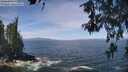./images/koeye/fitz-hugh/20260527/fitz-hugh20260527_115502M.jpg