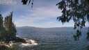 ./images/koeye/fitz-hugh/20260527/fitz-hugh20260527_120501M.jpg