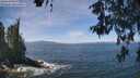 ./images/koeye/fitz-hugh/20260527/fitz-hugh20260527_121501M.jpg