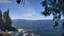 ./images/koeye/fitz-hugh/20260527/fitz-hugh20260527_123501M.jpg