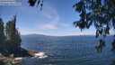 ./images/koeye/fitz-hugh/20260527/fitz-hugh20260527_124001M.jpg