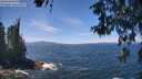 ./images/koeye/fitz-hugh/20260527/fitz-hugh20260527_125501M.jpg