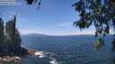 ./images/koeye/fitz-hugh/20260527/fitz-hugh20260527_131001M.jpg
