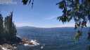 ./images/koeye/fitz-hugh/20260527/fitz-hugh20260527_131501M.jpg