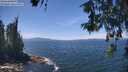 ./images/koeye/fitz-hugh/20260527/fitz-hugh20260527_132002M.jpg