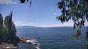 ./images/koeye/fitz-hugh/20260527/fitz-hugh20260527_135002M.jpg