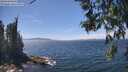 ./images/koeye/fitz-hugh/20260527/fitz-hugh20260527_141001M.jpg