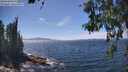 ./images/koeye/fitz-hugh/20260527/fitz-hugh20260527_143002M.jpg