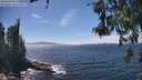 ./images/koeye/fitz-hugh/20260527/fitz-hugh20260527_143501M.jpg