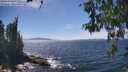 ./images/koeye/fitz-hugh/20260527/fitz-hugh20260527_145001M.jpg