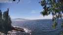 ./images/koeye/fitz-hugh/20260527/fitz-hugh20260527_145501M.jpg
