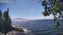 ./images/koeye/fitz-hugh/20260527/fitz-hugh20260527_150001M.jpg