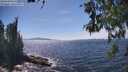 ./images/koeye/fitz-hugh/20260527/fitz-hugh20260527_150502M.jpg