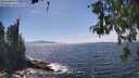 ./images/koeye/fitz-hugh/20260527/fitz-hugh20260527_151501M.jpg