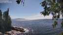./images/koeye/fitz-hugh/20260527/fitz-hugh20260527_153001M.jpg