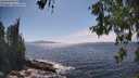 ./images/koeye/fitz-hugh/20260527/fitz-hugh20260527_153501M.jpg