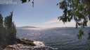 ./images/koeye/fitz-hugh/20260527/fitz-hugh20260527_154001M.jpg