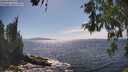 ./images/koeye/fitz-hugh/20260527/fitz-hugh20260527_154501M.jpg
