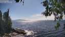 ./images/koeye/fitz-hugh/20260527/fitz-hugh20260527_155001M.jpg