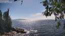 ./images/koeye/fitz-hugh/20260527/fitz-hugh20260527_155501M.jpg