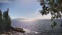 ./images/koeye/fitz-hugh/20260527/fitz-hugh20260527_160501M.jpg