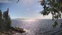 ./images/koeye/fitz-hugh/20260527/fitz-hugh20260527_161501M.jpg