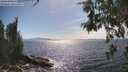 ./images/koeye/fitz-hugh/20260527/fitz-hugh20260527_162002M.jpg