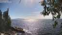./images/koeye/fitz-hugh/20260527/fitz-hugh20260527_162501M.jpg