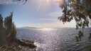 ./images/koeye/fitz-hugh/20260527/fitz-hugh20260527_163501M.jpg