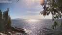 ./images/koeye/fitz-hugh/20260527/fitz-hugh20260527_164001M.jpg