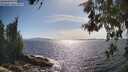 ./images/koeye/fitz-hugh/20260527/fitz-hugh20260527_165001M.jpg